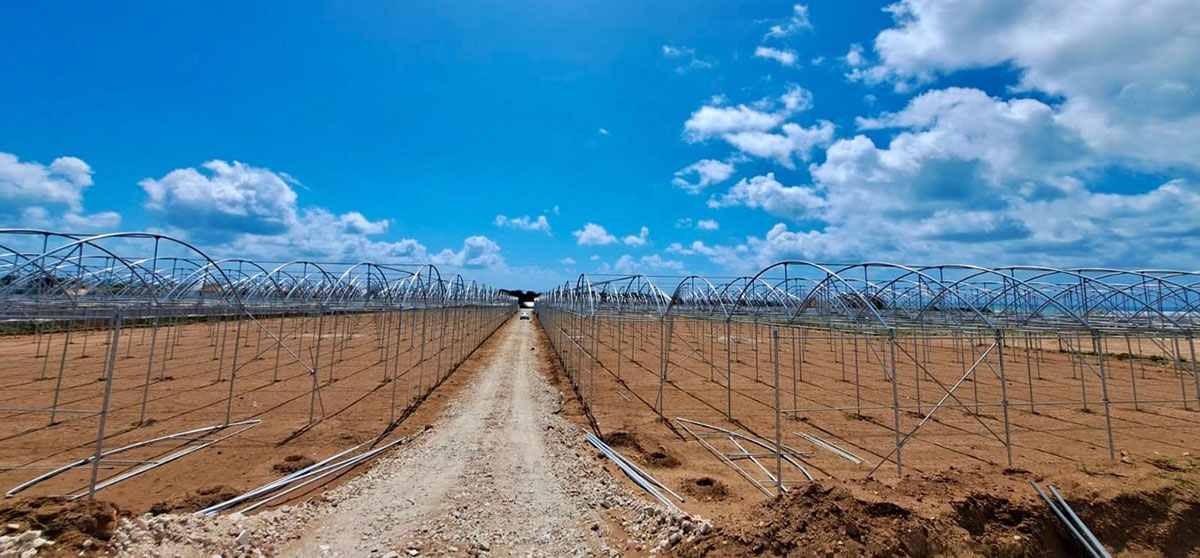 Nuove serre in costruzione a Punta Secca (Ragusa)